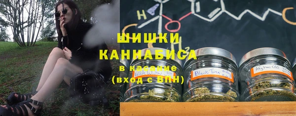 бошки Белокуриха