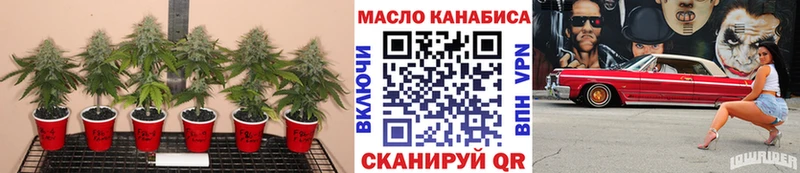 blacksprut ТОР  продажа наркотиков  Лабинск  Дистиллят ТГК гашишное масло 
